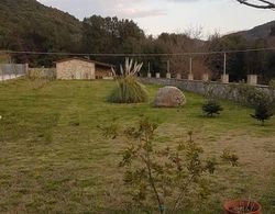 House With big Garden and Barbeque in Nature Dış Mekan