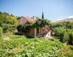 House With Large Garden, Right Next to the River Dış Mekan