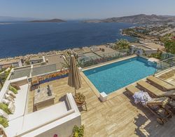 House With Private Pool and Sea View in Bodrum Oda
