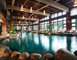 Howard Johnson Conference Resort Chengdu Havuz