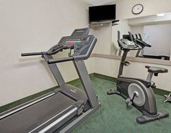 Howard Johnson&Suites by Wyndham Elk Grove Village Aktiviteler