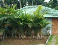 Hoysala Resort Dış Mekan
