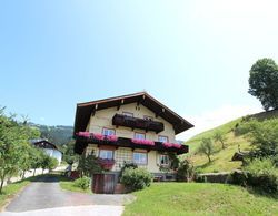 Huge Holiday Home in Hopfgarten im Brixental near Ski Lift Dış Mekan