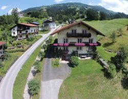Huge Holiday Home in Hopfgarten im Brixental near Ski Lift Dış Mekan