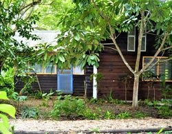 Hummingbird Rest Gold Standard Approved Equipped Cabana in Subtropical Garden Dış Mekan