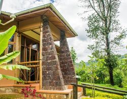 Ichumbi Gorilla Lodge Dış Mekan
