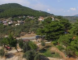 Ida Bay Bungalows Dış Mekan