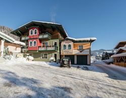 Idyllic Holiday Home in Goldegg - Wen Near ski bus Dış Mekan