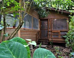 Iguana Roost - A Tourism Gold Standard Approved Equipped two Bedroom Cabin Dış Mekan