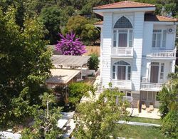 İkigai Hotel Villa Rıfat Genel