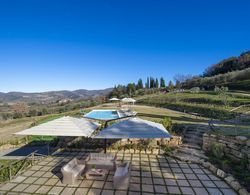 Villa Il Tinaio With Private Pool Garden Terraces and Parking Oda
