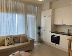 Immaculate 1-bed Apartment in Tampere Oda Düzeni