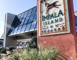 Impala Island Inn Dış Mekan