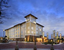 Hotel Indigo Jacksonville-Deerwood Park Genel