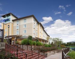 Hotel Indigo Jacksonville-Deerwood Park Genel
