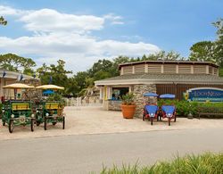 Innisbrook, a Salamander Golf & Spa Resort Havuz