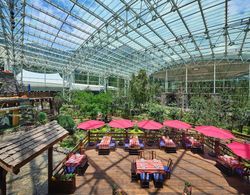 InterContinental Resort Jiuzhai Paradise, an IHG Hotel Genel