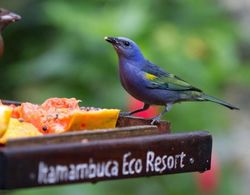 Itamambuca Eco Resort Genel