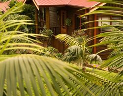 Jacaranda Park Holiday Cottages Dış Mekan