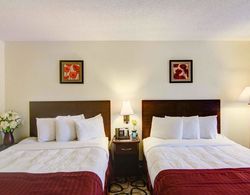 Jacksonville Plaza Hotel & Suites Genel