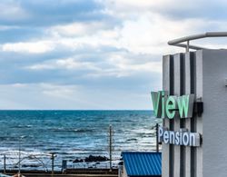 Jeju Olle View Pension Misafir Tesisleri ve Hizmetleri