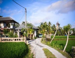 Villa JJ and Spa Ubud Dış Mekan