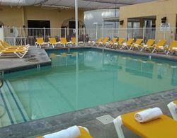 Jockey Resorts Suites Havuz