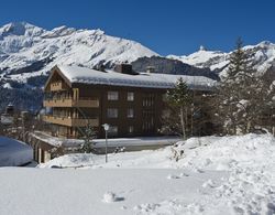 Hotel Jungfraublick Wengen Öne Çıkan Resim