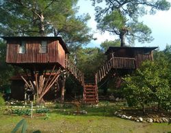 Jungle Bungalow - Camping Genel