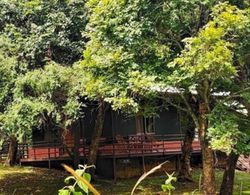 Jungle Hut Resorts Dış Mekan