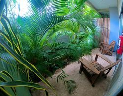 Jungle Lofts in Tulum Centre Rooftop Patio Pool M3 Oda