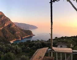 Kabak Mamma's Hostel & Bar Bar