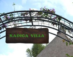Kadiga Villas Ubud - CHSE Certified Dış Mekan