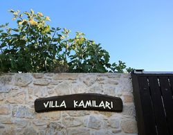 Villa Kamilari Dış Mekan