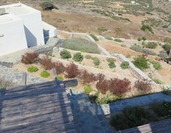 Kaminaki Amorgos Studios & Apartments Dış Mekan