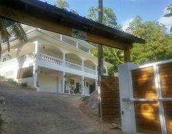 Villa Karibu Dış Mekan