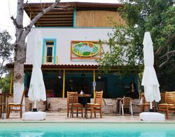 Kas 11 Oda Boutique Pension Adults Only Genel