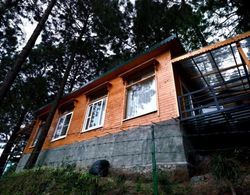 Kasauli Hills Resort Dış Mekan