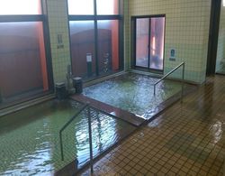 Kashiwagi Onsen Banyo Tipleri