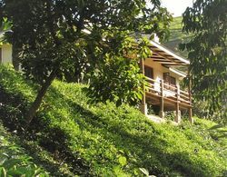 Kimakia Tea Cottages Dış Mekan