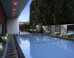 Kimpton Hotel Palomar Los Angeles Beverly Hills Havuz