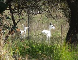 Klipfontein Game Reserve Dış Mekan