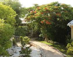 Kokomo Botanical Resort & Spa  Genel