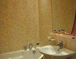 Kreshchatyk Guesthouse Banyo Tipleri