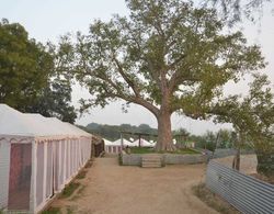 Kumbh Luxury Tents Dış Mekan