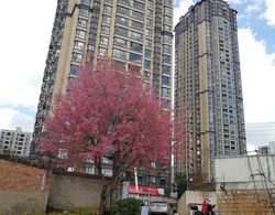 Kunming LiuxiaChunshu Hostel Dış Mekan