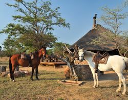 Kwafubesi Tented Safari Camp Genel