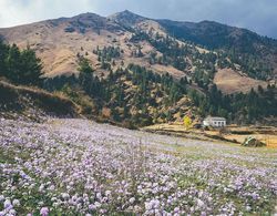 Kyirmu Lodge Phaplu Dış Mekan