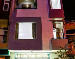 La Cactus Hotel Dış Mekan