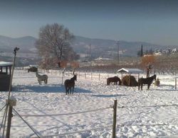 La Capannaccia Dış Mekan